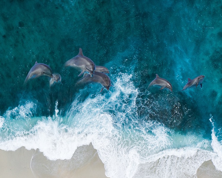 菲律宾沙龙国际s36(集团)有限公司官网